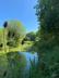 Acorn Wood photo 8