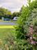 Acorn Wood photo 15