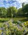 Acorn Wood photo 28