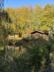 Acorn Wood photo 29