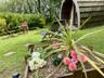 Acorn Wood photo 48