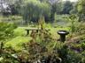 Acorn Wood photo 69