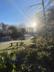 Acorn Wood photo 70