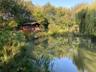 Acorn Wood photo 73