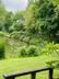 Acorn Wood photo 74