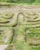 Acorn Wood photo 84