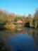 Acorn Wood photo 91