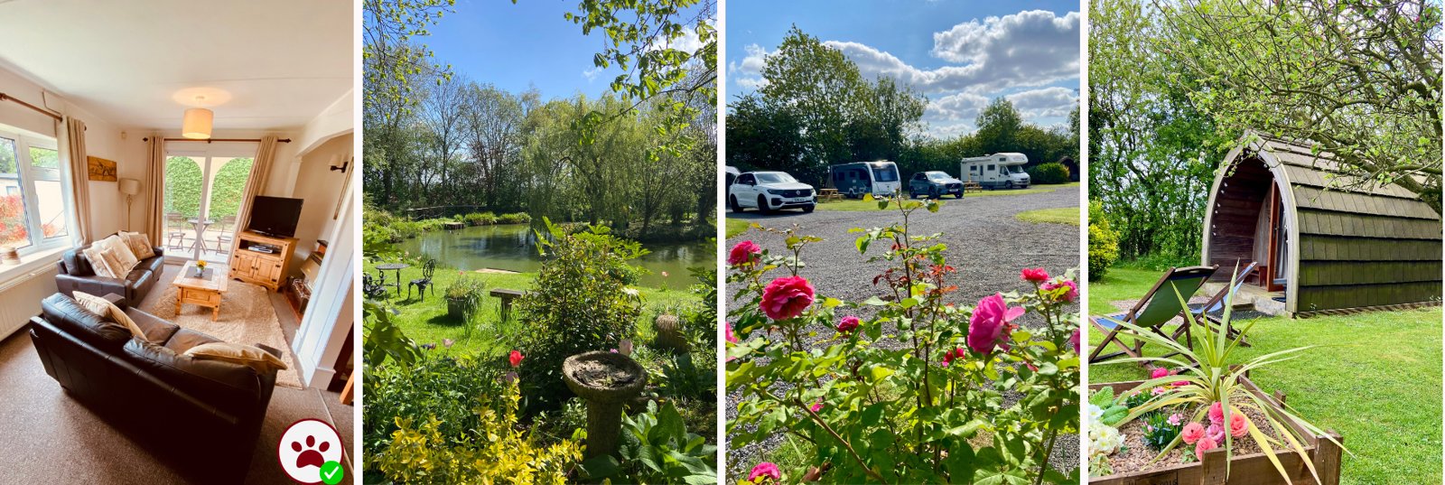 Acorn Wood – lodge, fishing lake, pitches and glamping pod