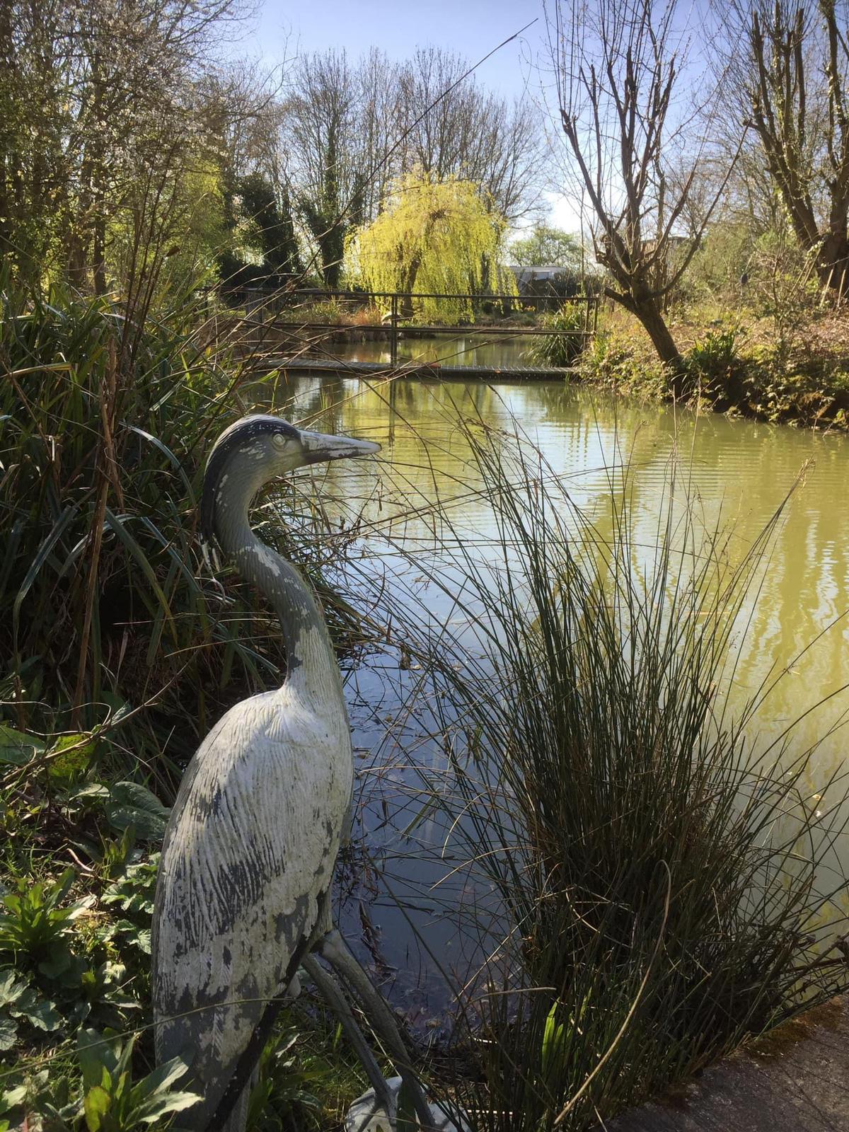 Lake & fishing at Acorn Wood