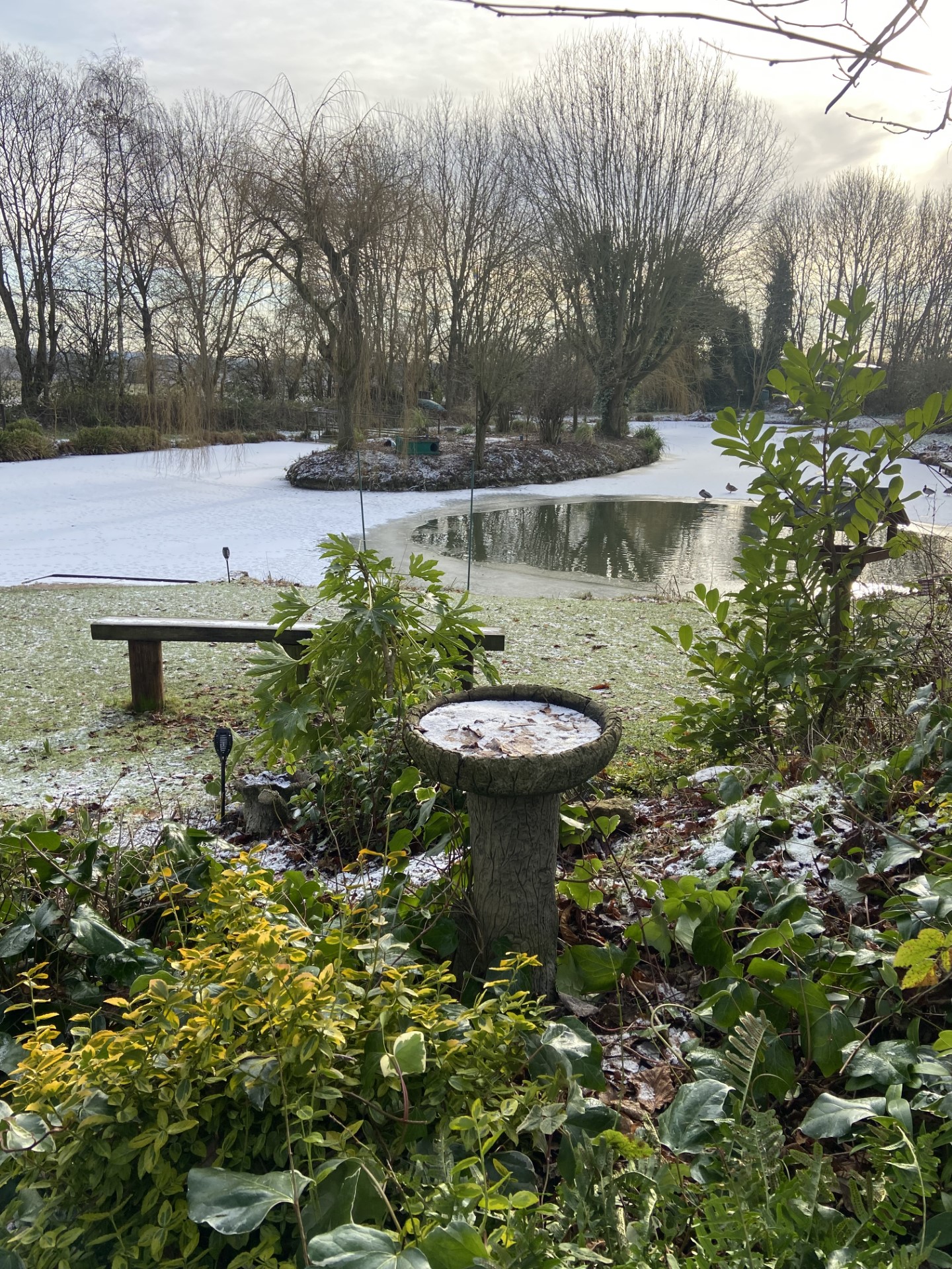 Lake & fishing at Acorn Wood