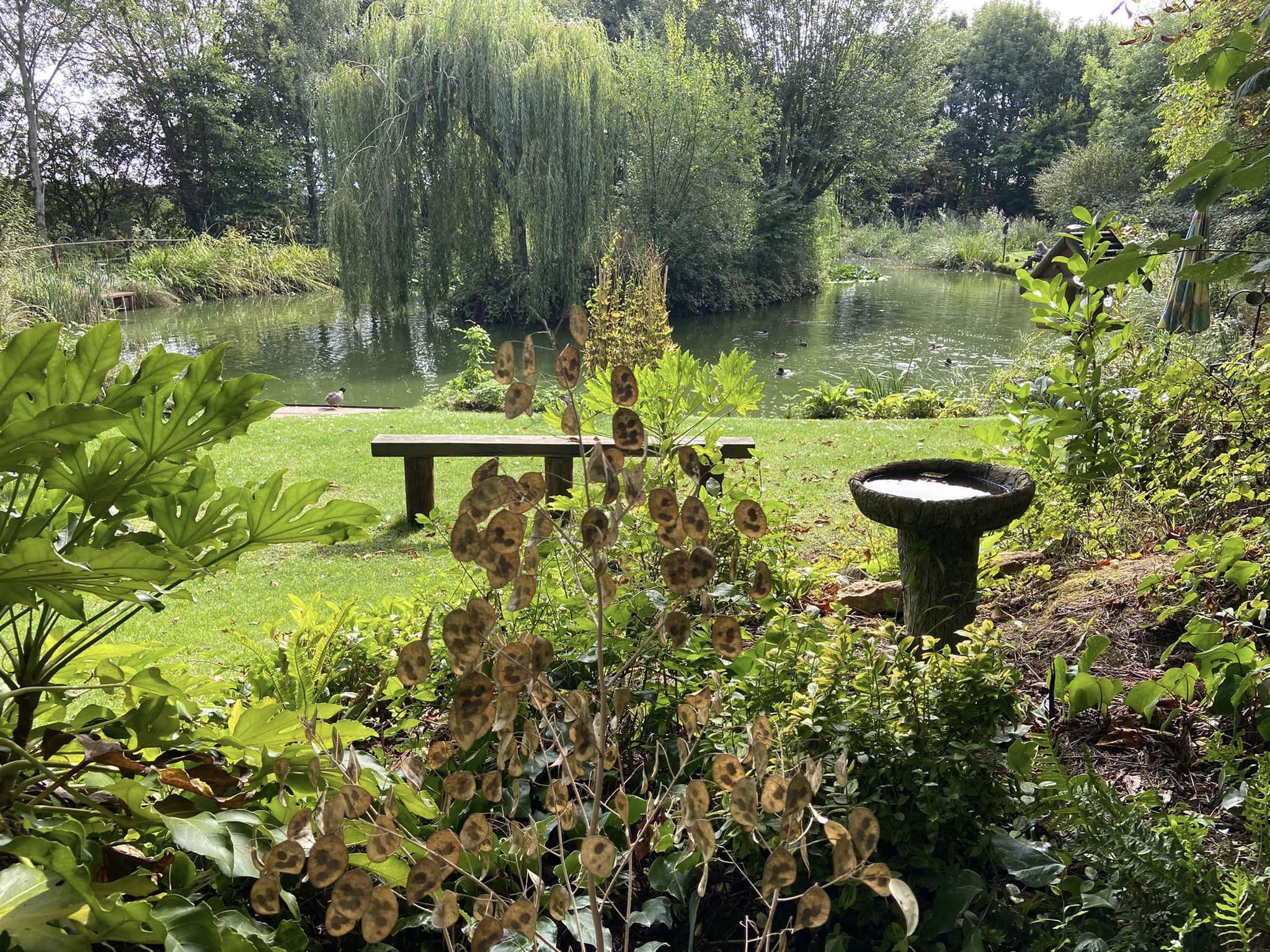 Lake & fishing at Acorn Wood