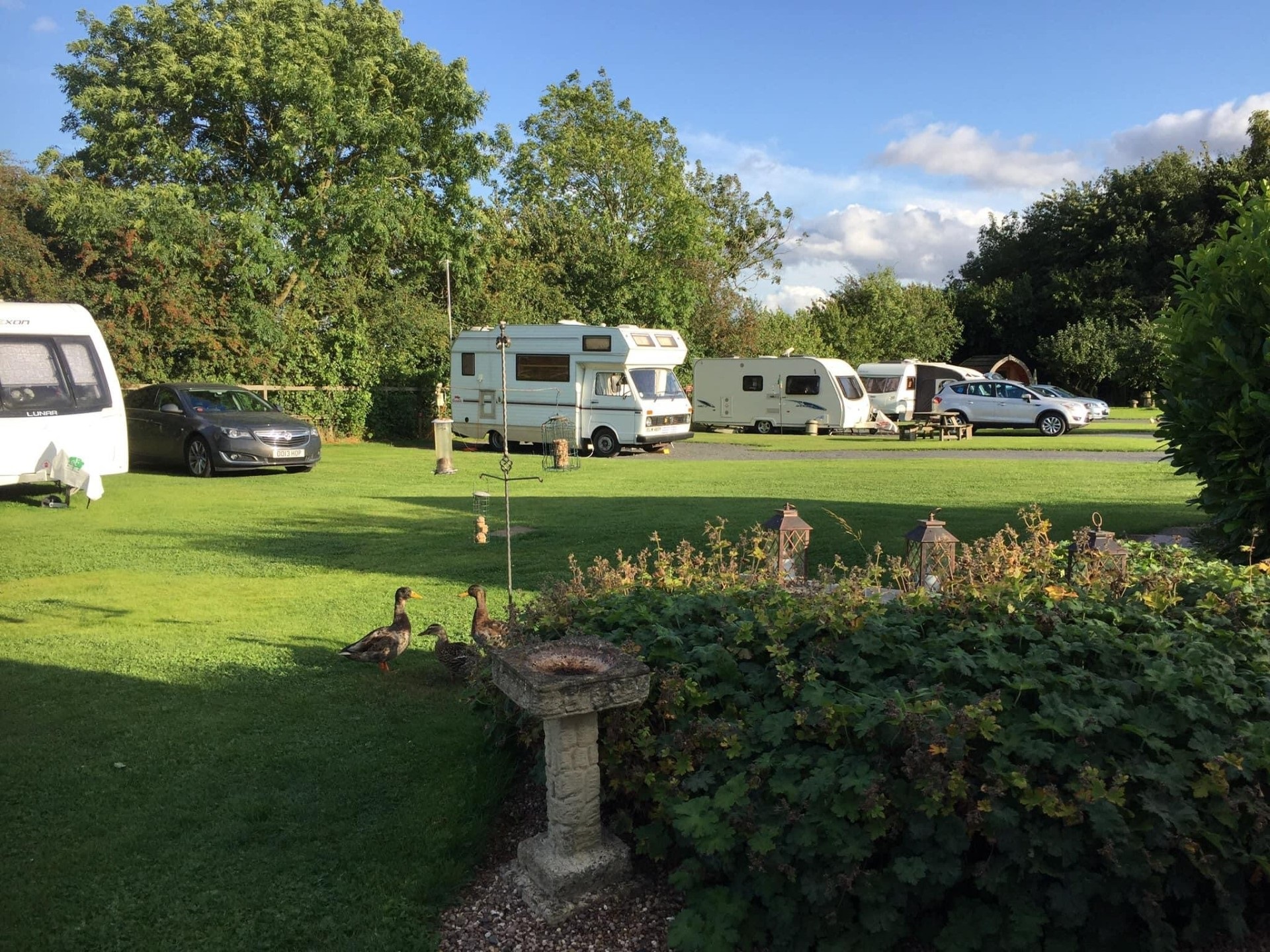 Pitches & the park at Acorn Wood