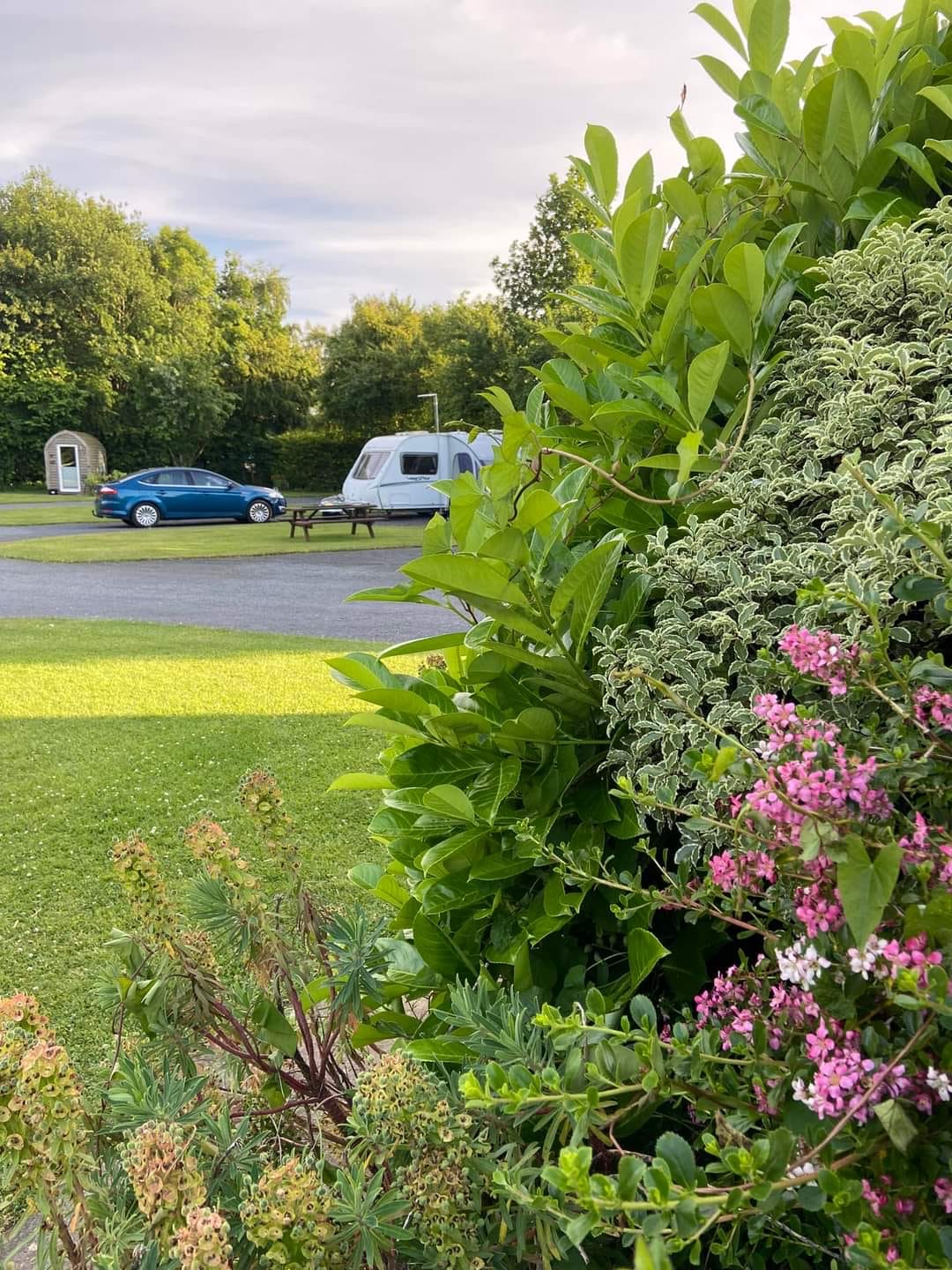 Pitches & the park at Acorn Wood