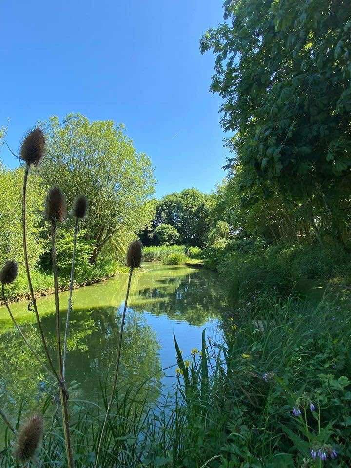 Lake & fishing at Acorn Wood