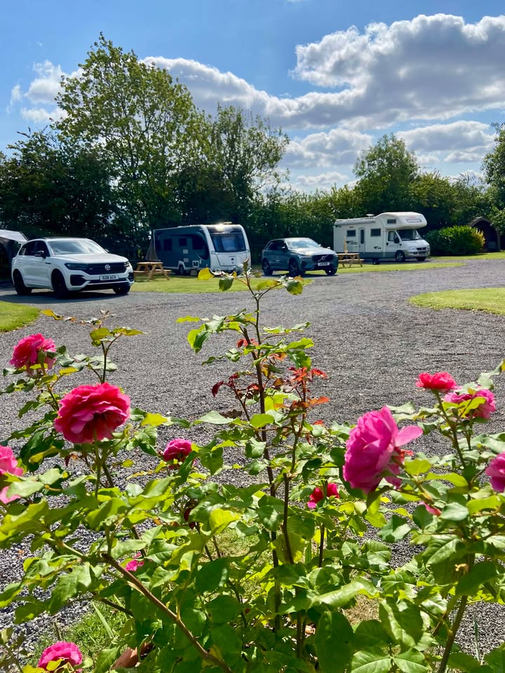 Pitches & the park at Acorn Wood