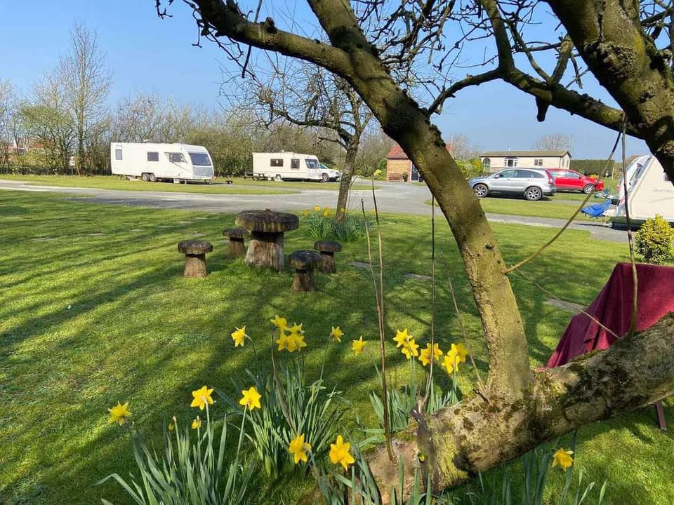 Pitches & the park at Acorn Wood