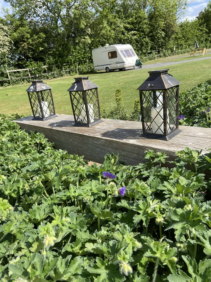 Pitches & the park at Acorn Wood
