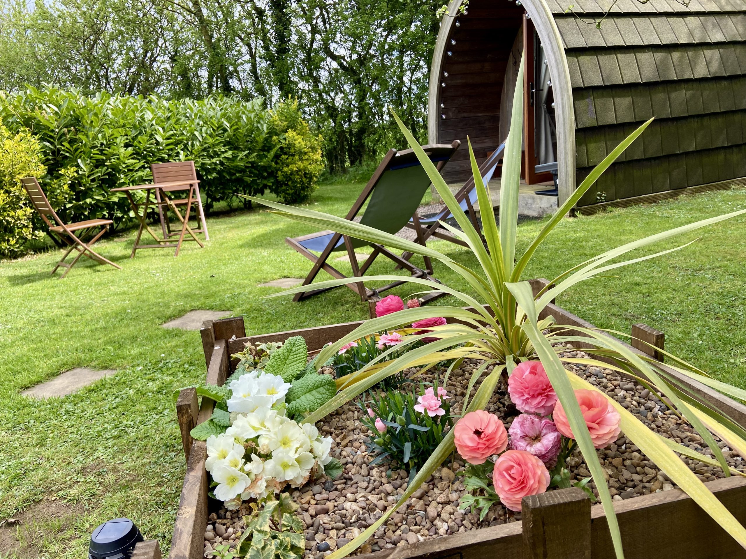 The Nuthatch glamping pod in the garden